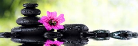 Pimptress Cleo #Parody banner