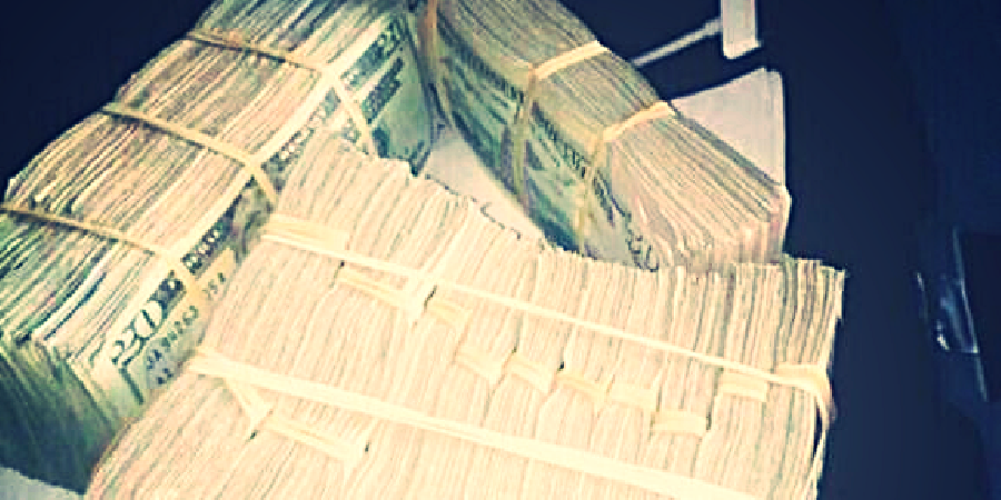 NoFearNoTrust's profile banner image