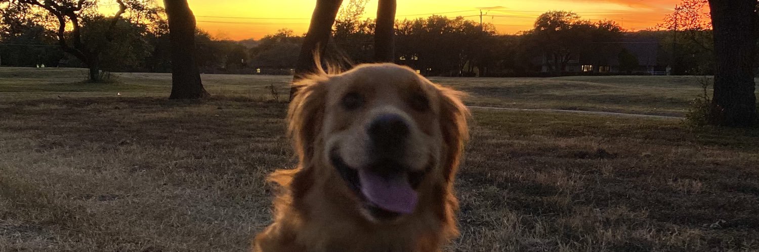 allisonlrader's profile banner image