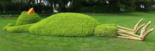 Dr Matthieu Anex #Doc Lagoon banner