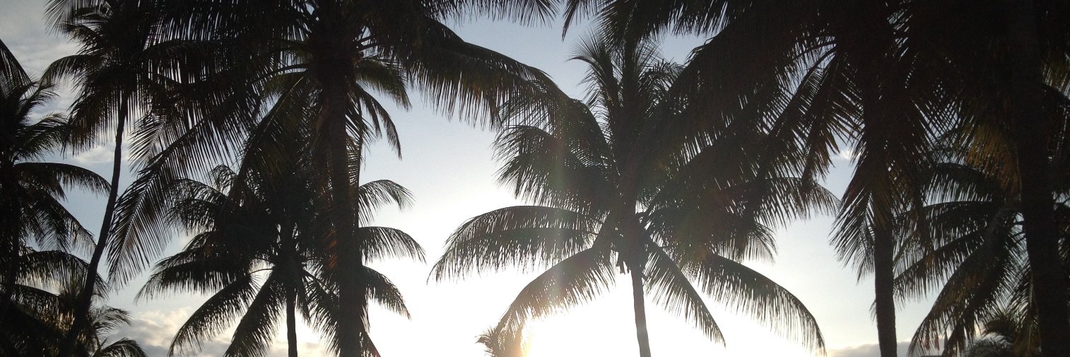 ray_bans2's profile banner image