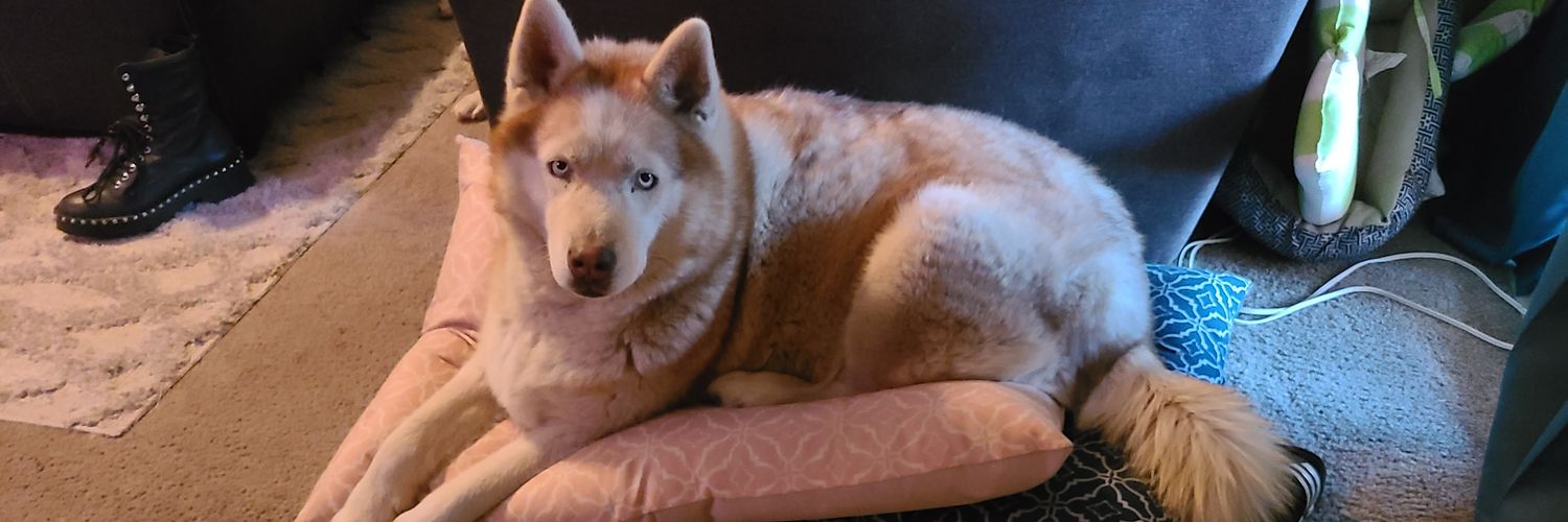 msbianca89's profile banner image