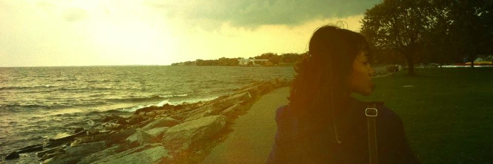 lacybeaute's profile banner image