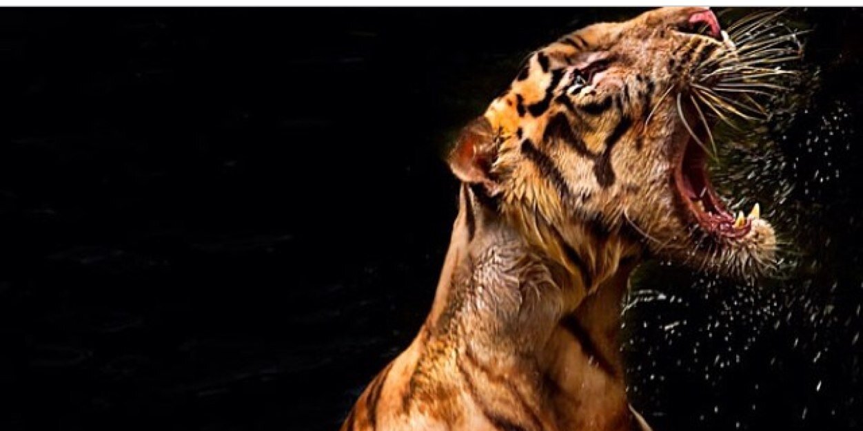 the_gr08's profile banner image