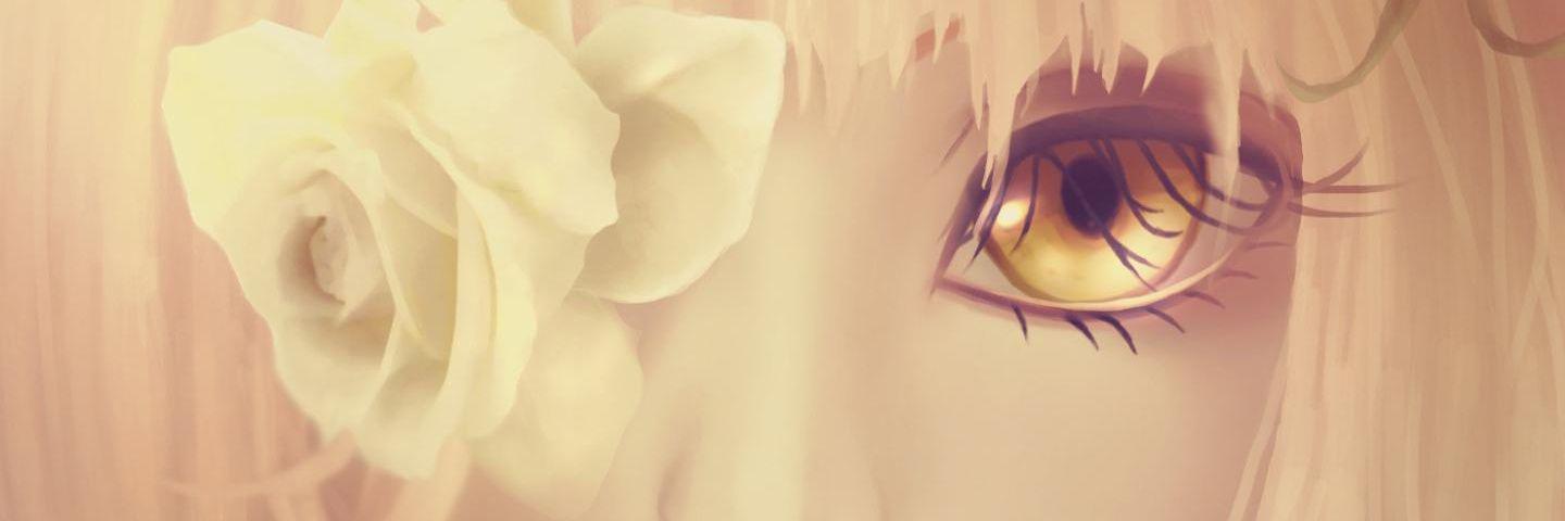 VanilleDS_HOG's profile banner image