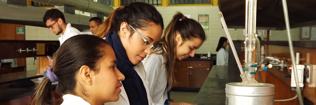Esc Ing Química ULA banner