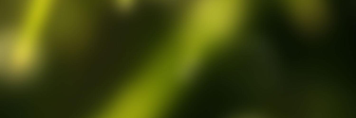 pauluswebster's profile banner image
