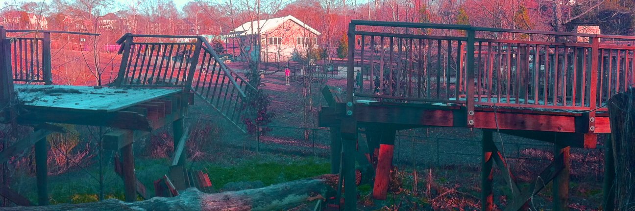 charlotte 🇵🇸 🏳️‍⚧️ banner