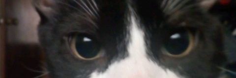 _YOVANCITO_'s profile banner image