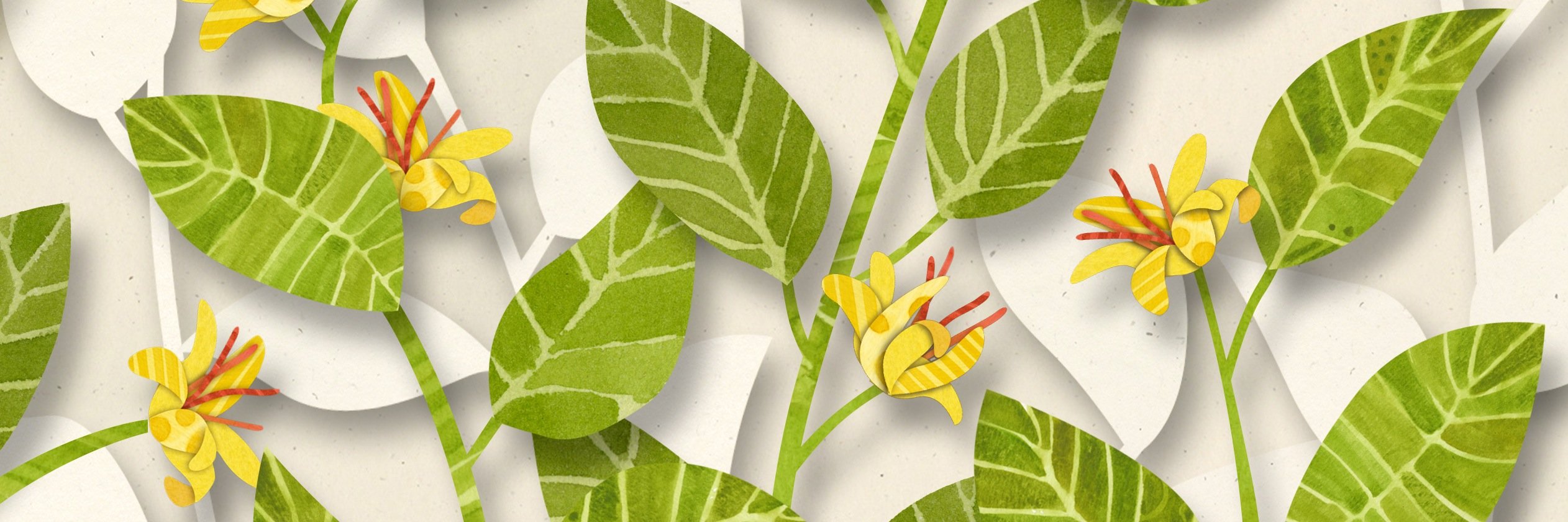 The Little Bug banner