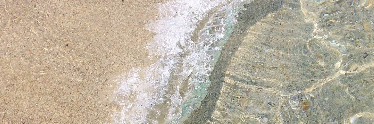 avewilkxo's profile banner image