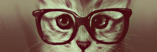 amadaeusebio's profile banner image