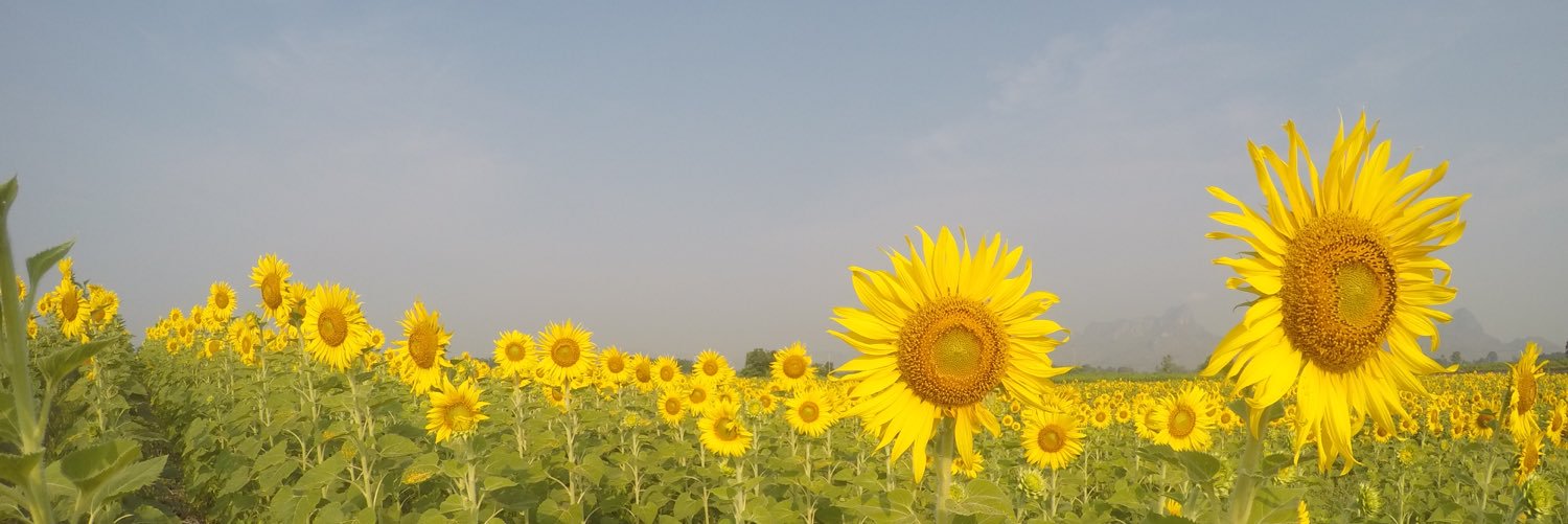 faituri's profile banner image