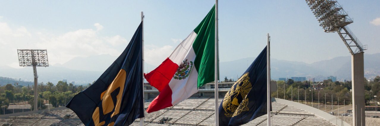 pmacedoangulo's profile banner image