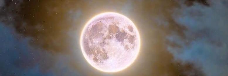 anacecena's profile banner image
