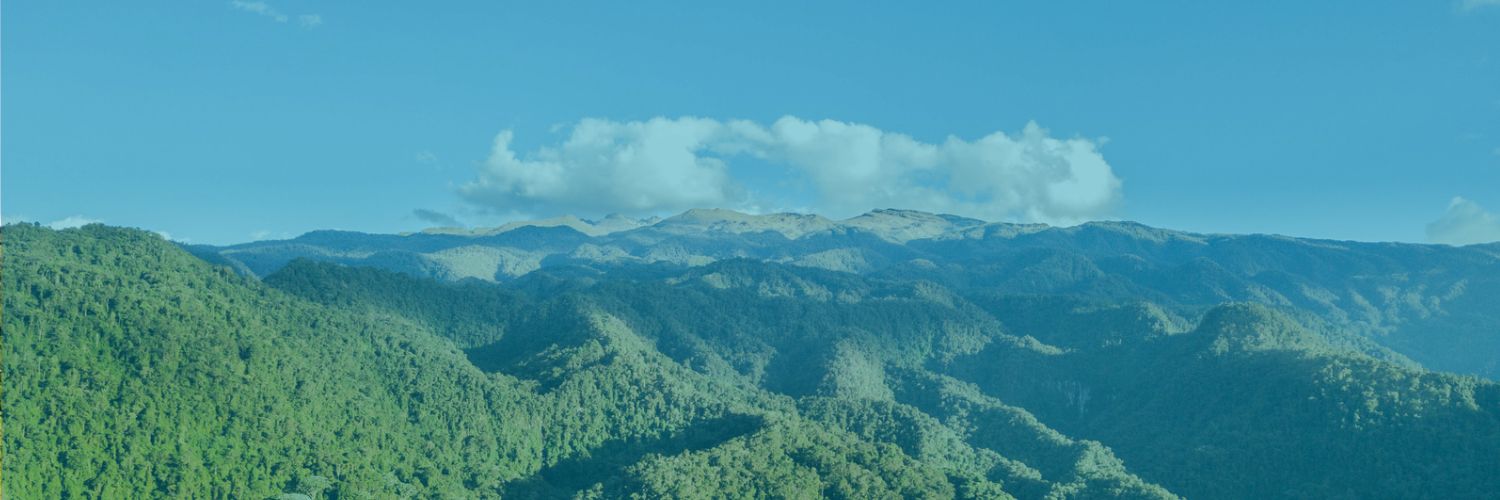Connygf's profile banner image