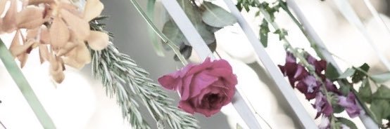 kaylajanas's profile banner image