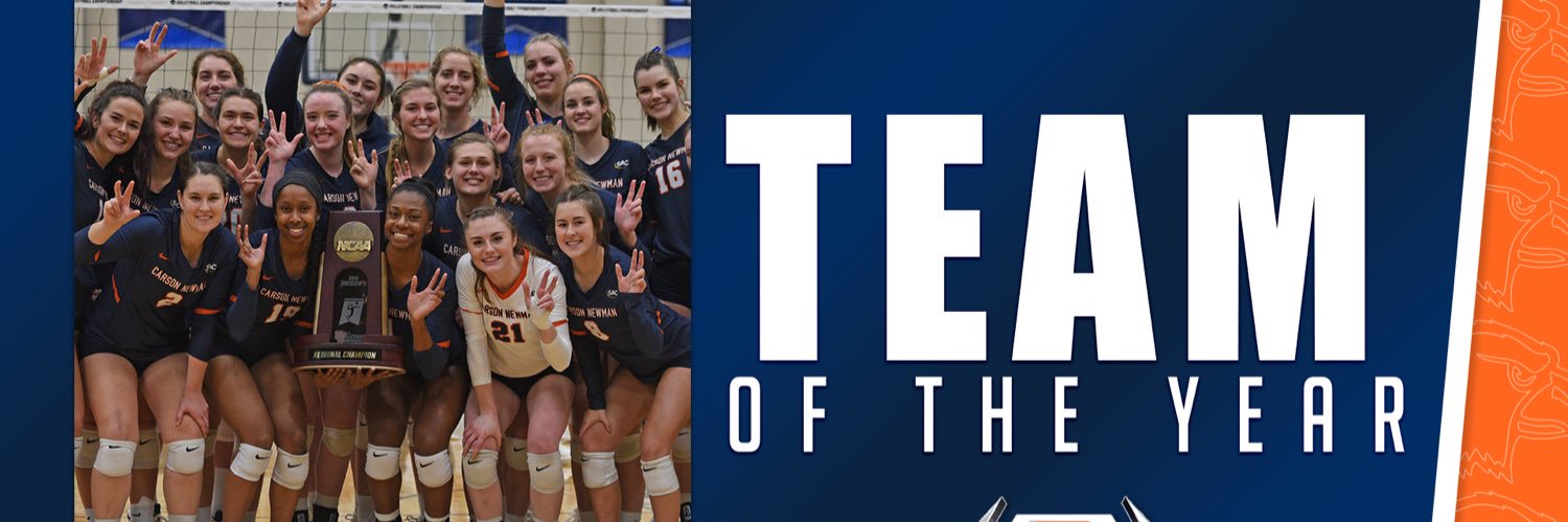 C-N Volleyball banner