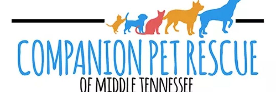 cprmidtn's profile banner image