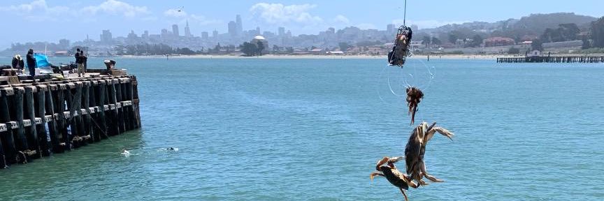 omarsdog's profile banner image