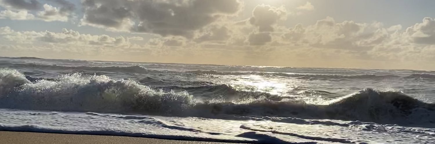 SaraGArgibay's profile banner image