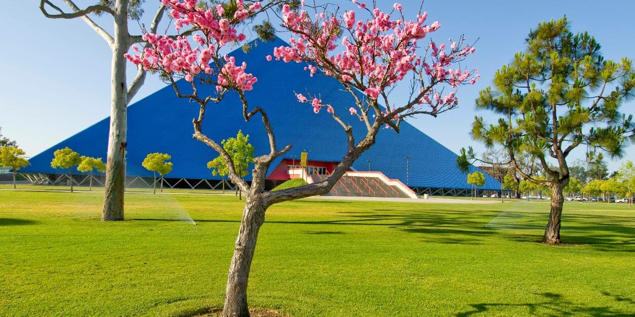 CSULBSSS's profile banner image