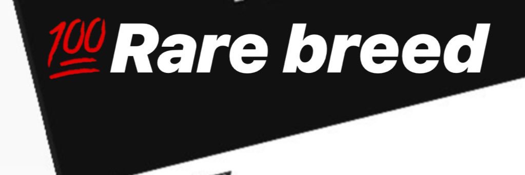 TheBiggestTrick banner