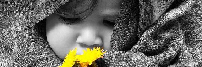 IrisAponteg's profile banner image