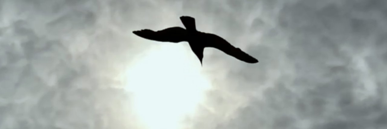 acattrell's profile banner image