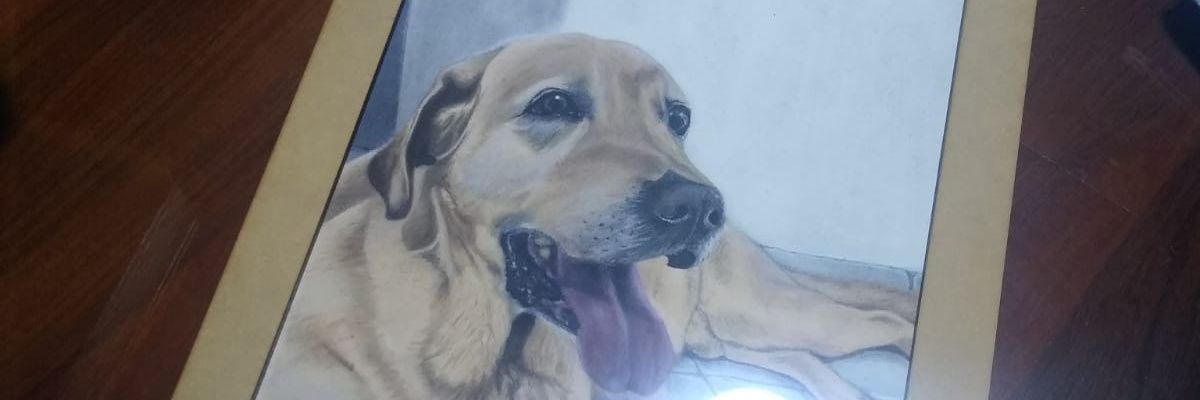 GuadiMenendez's profile banner image