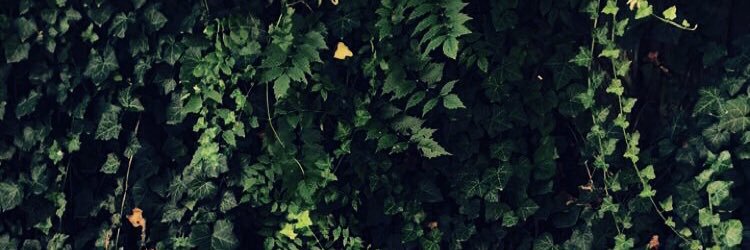 _w3bby's profile banner image