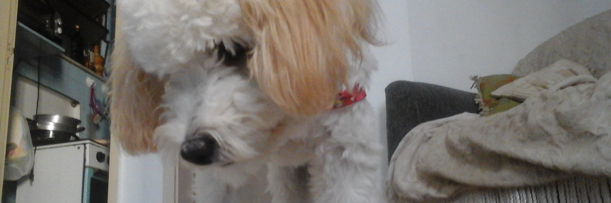 naaatiw's profile banner image