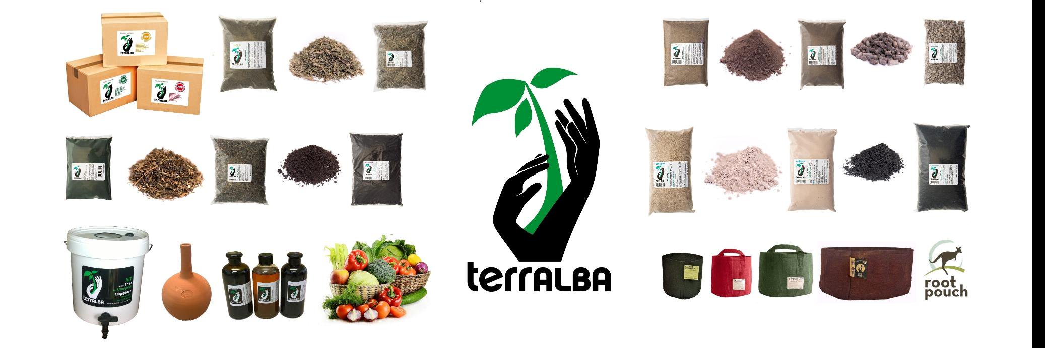 ZeTerralba's profile banner image