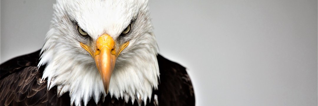 mertapaydin93's profile banner image