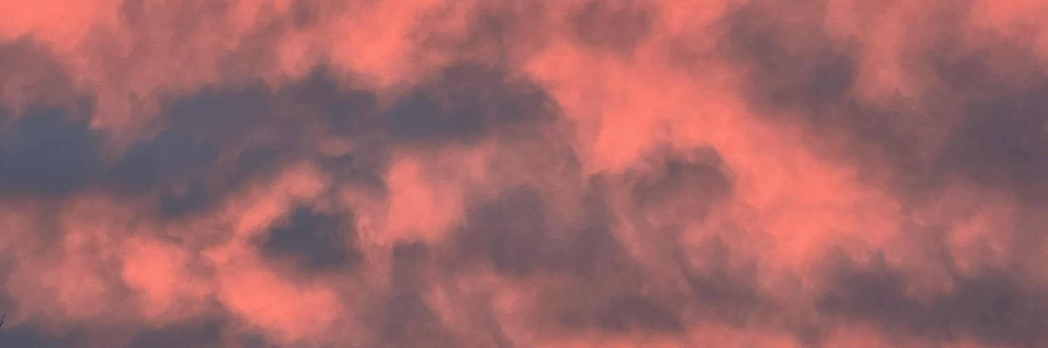 vanmoofer's profile banner image