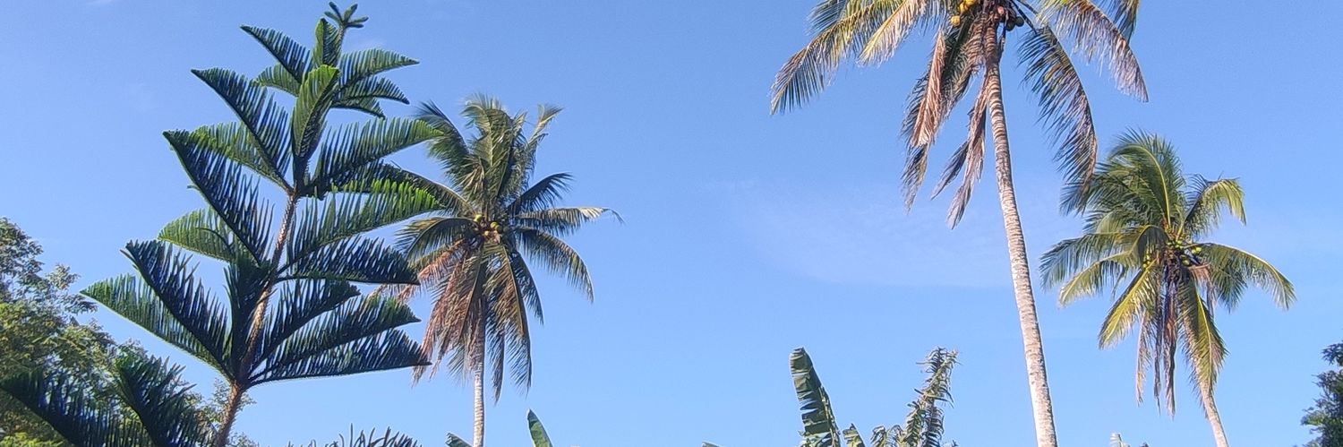 RLInfinityFEveR's profile banner image