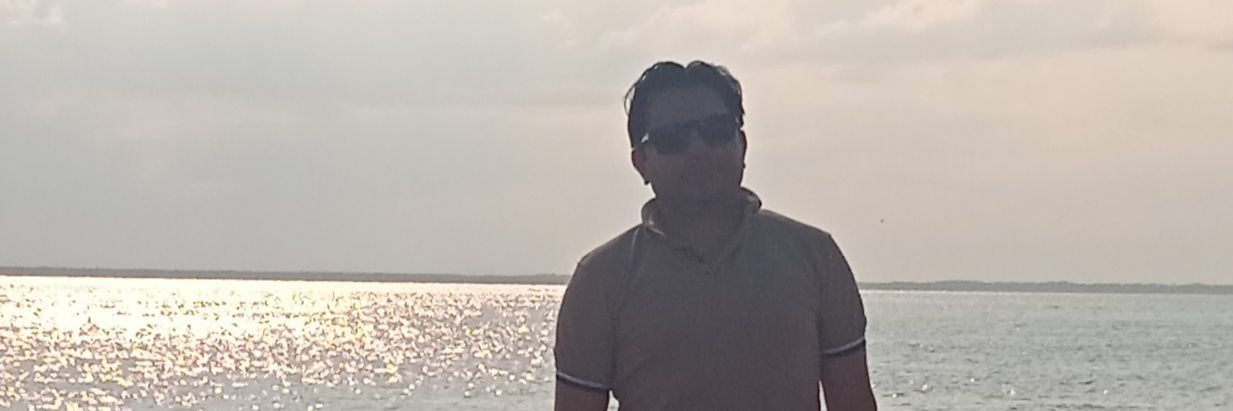 lostacub's profile banner image