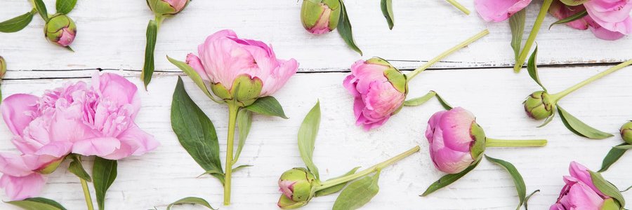 katiemichs's profile banner image