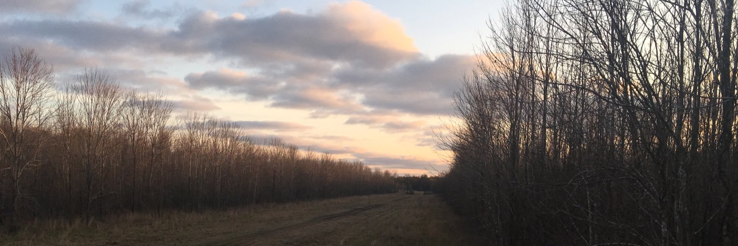 Allysonjacksonn's profile banner image