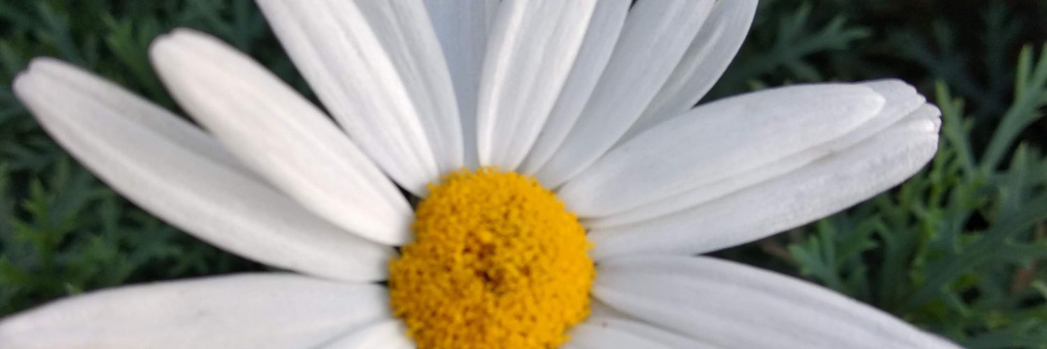 Levitovar1505's profile banner image