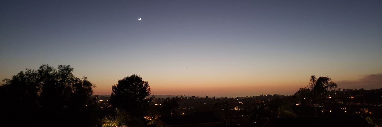 Martin Miller 🐜🍴 banner