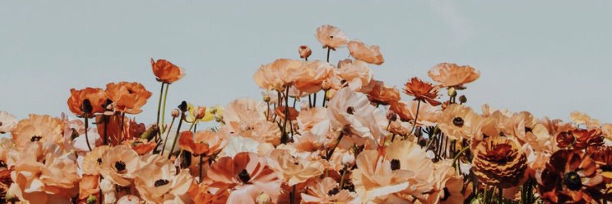 erinfay's profile banner image