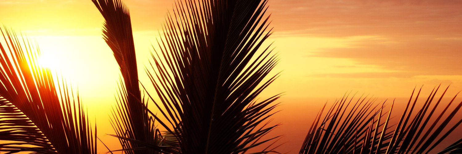 PalmeraLager's profile banner image