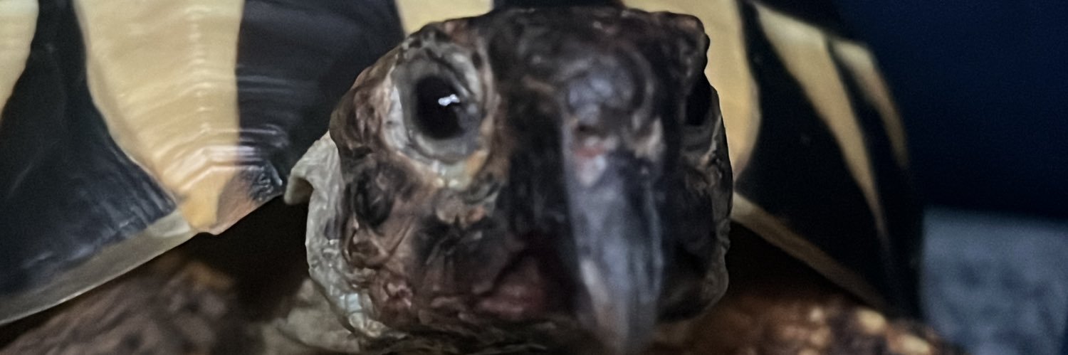 Emzieness's profile banner image