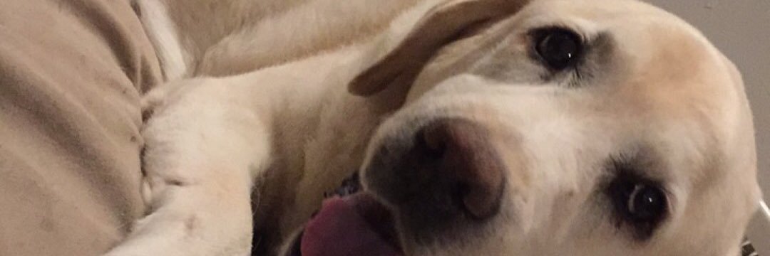 kayly96's profile banner image
