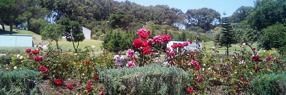 MitchellsPlainAlive banner