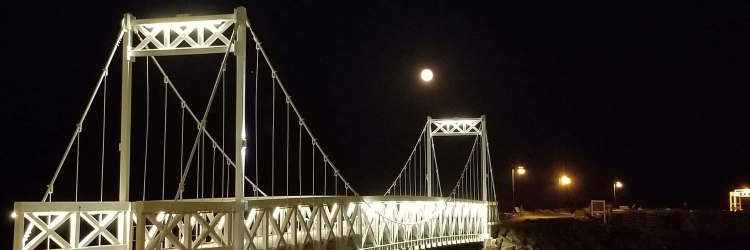 Sylvie Boucher banner