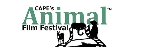 AnimalFilmFest's profile banner image