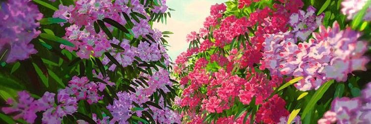 AndreaRuggs's profile banner image