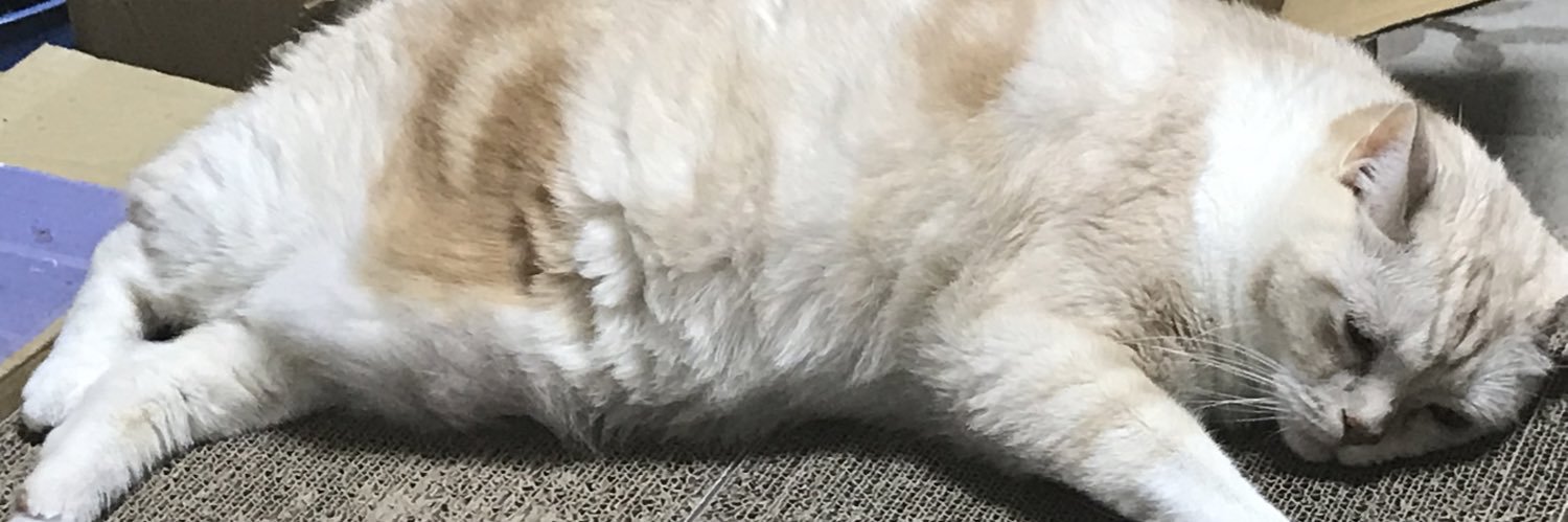 プラ兄 banner